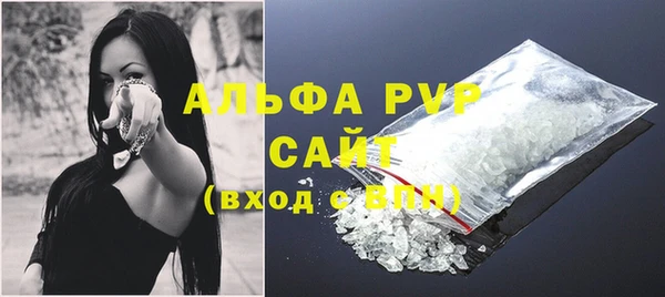 прущие грибы Няндома