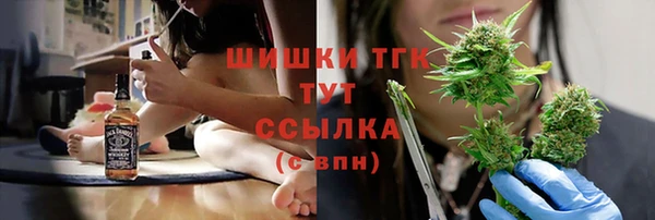 прущие грибы Няндома