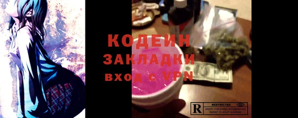 прущие грибы Няндома