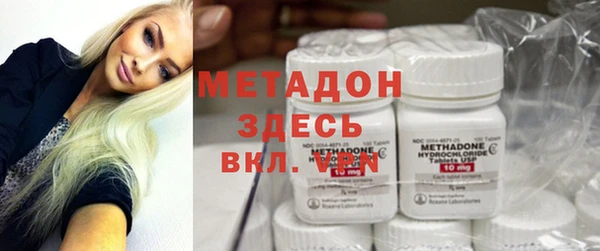 прущие грибы Няндома