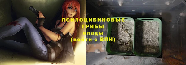 прущие грибы Няндома