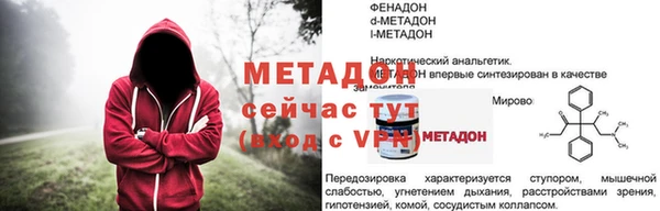 прущие грибы Няндома