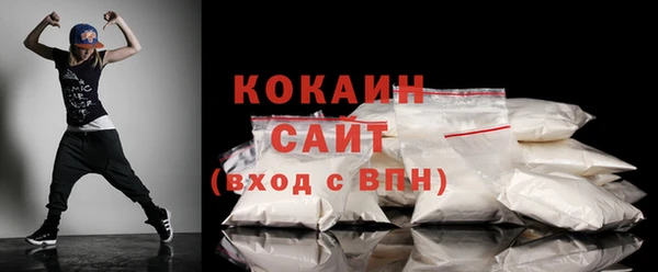 прущие грибы Няндома