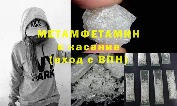прущие грибы Няндома