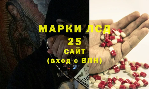прущие грибы Няндома