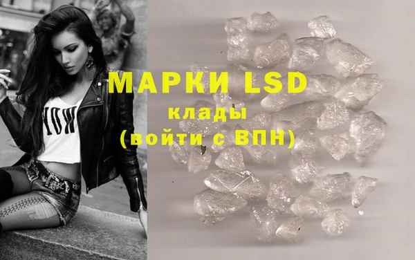 прущие грибы Няндома