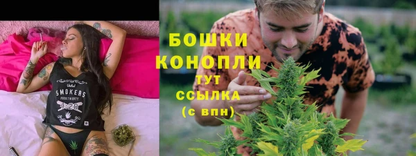 прущие грибы Няндома