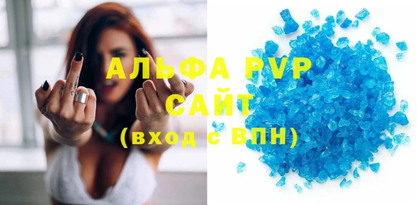прущие грибы Няндома