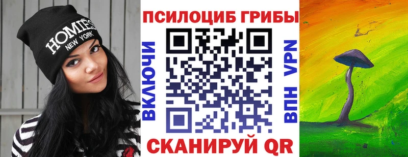 ссылка на мегу вход  Сретенск  дарк нет официальный сайт  Псилоцибиновые грибы мухоморы 